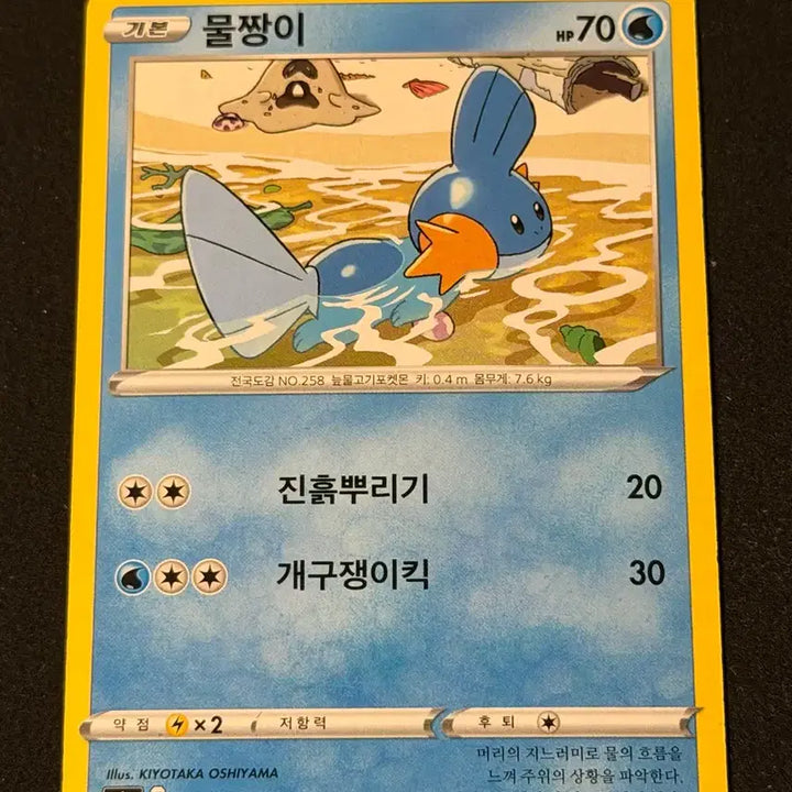 [BUNJANG] Vintage Pokemon Card Mudkip / 고전 포켓몬 카드 물짱이
