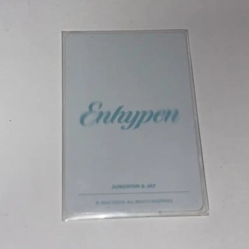 [BUNJANG] ENHYPEN Dicon Meow-z Jay Jungwon Photocard / 엔하이픈 디아이콘 야옹즈 제이 정원 포카