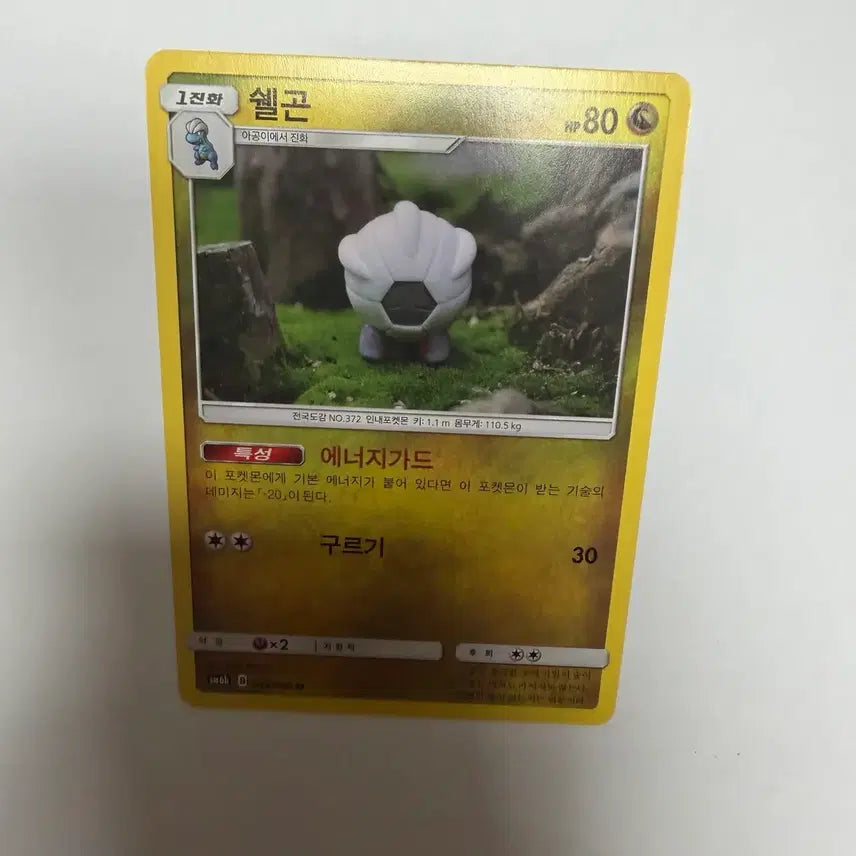 [BUNJANG] Shelgon Pokémon Card / 쉘곤 포켓몬카드