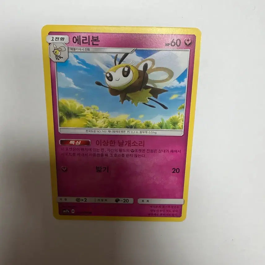 [BUNJANG] Pokemon Card Sleeved and Toploader Protected / 에리본 포켓몬카드