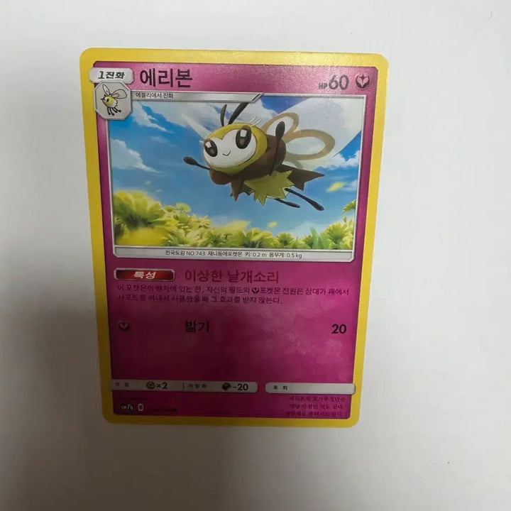 [BUNJANG] Pokemon Card Sleeved and Toploader Protected / 에리본 포켓몬카드