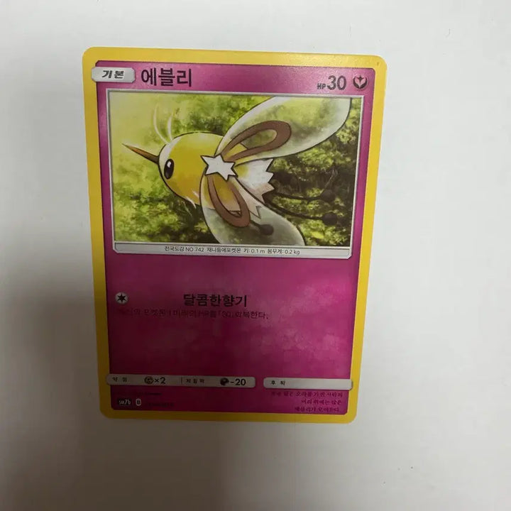 [BUNJANG] Evelly Pokemon Card / 에블리 포켓몬카드