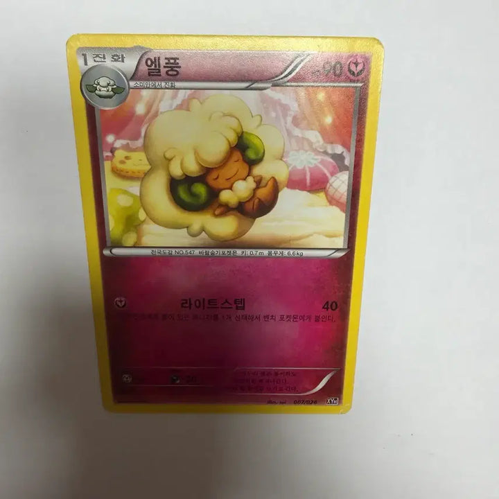 [BUNJANG] Pokemon Card / 엘풍 포켓몬카드