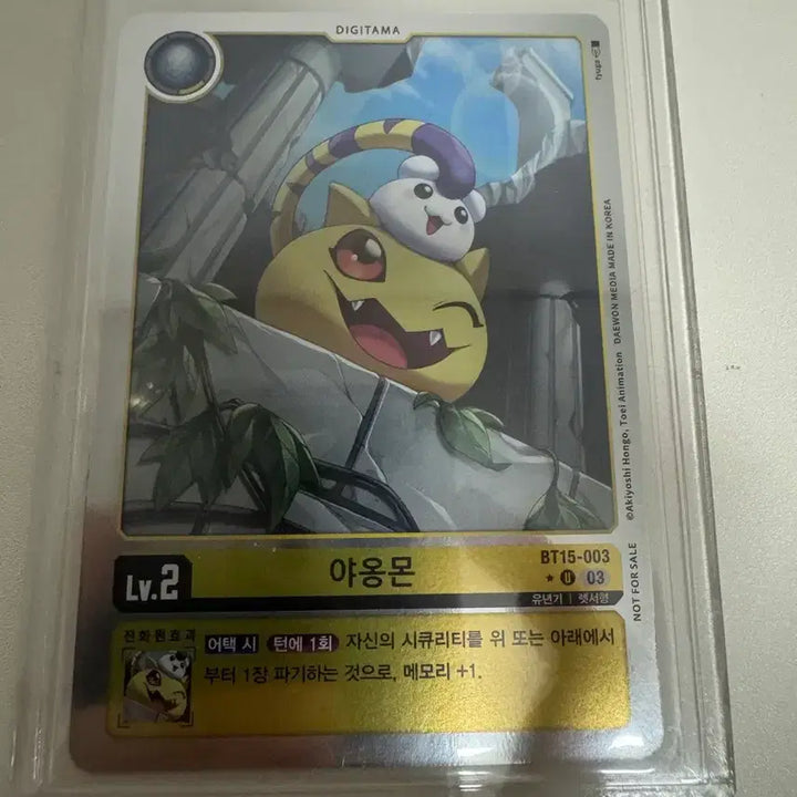 [BUNJANG] Yaongmon Pere Card / 야옹몬 페레 카드