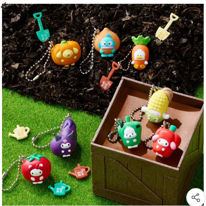 [BUNJANG] Sanrio Shokugan Vegetable Series Figurine Set / 산리오 식완 채소 야채 시리즈 페클