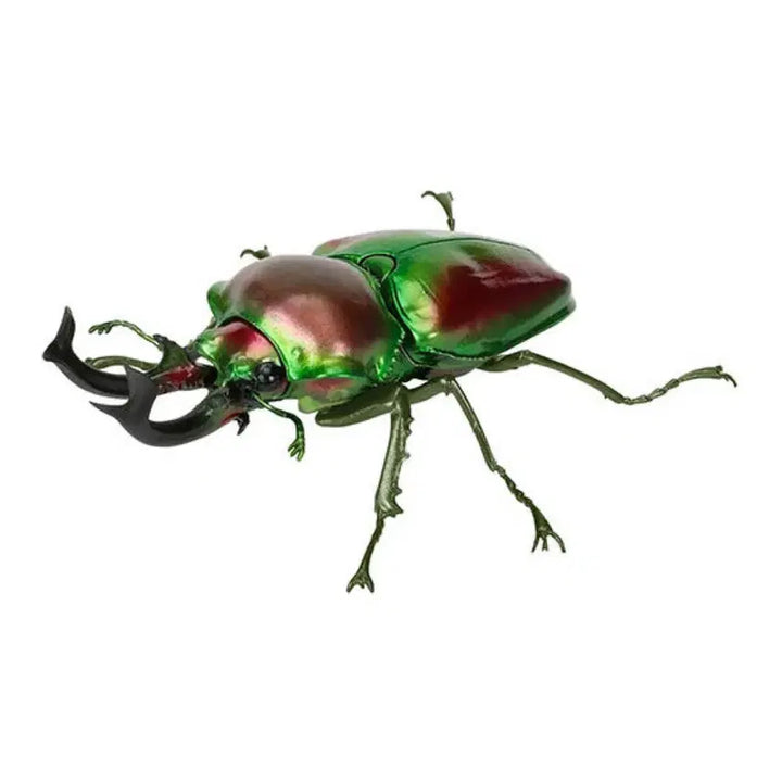 [BUNJANG] Life Encyclopedia Rhinoceros Beetle Muellieri Rhinoceros Beetle Standard Edition Unsealed / 생물대도감 사슴벌레 뮤엘리니사슴벌레 일반버전 개봉품팝니다.