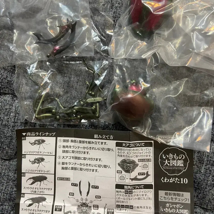 [BUNJANG] Life Encyclopedia Rhinoceros Beetle Muellieri Rhinoceros Beetle Standard Edition Unsealed / 생물대도감 사슴벌레 뮤엘리니사슴벌레 일반버전 개봉품팝니다.