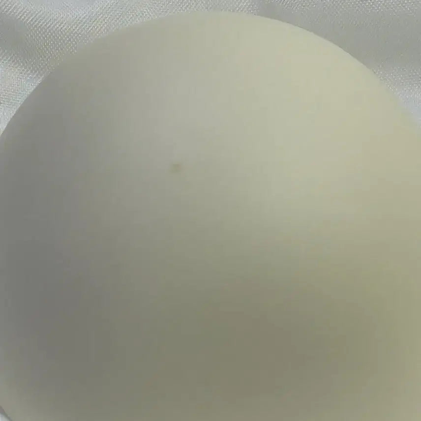 [BUNJANG] Winter Bee Studio Dazzling Oil Painting Head (Milk) / 겨울비스튜디오 다즐링 유화