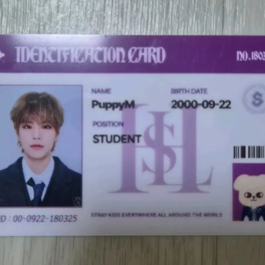 [BUNJANG] Stray Kids Magic School Student ID Seungmin / 스키즈 매직스쿨 팝업 학생증 승민