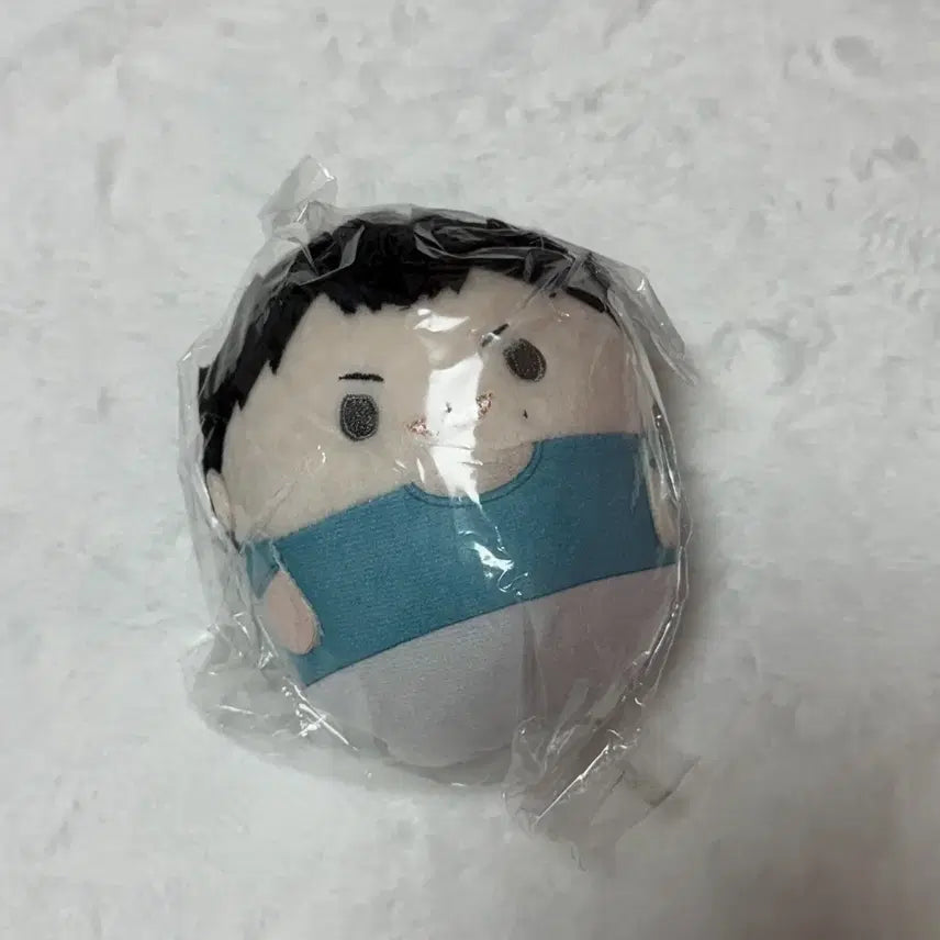 [BUNJANG] Haikyu!! Fuwaroring Kindaichi / 하이큐 후와코로링 킨다이치