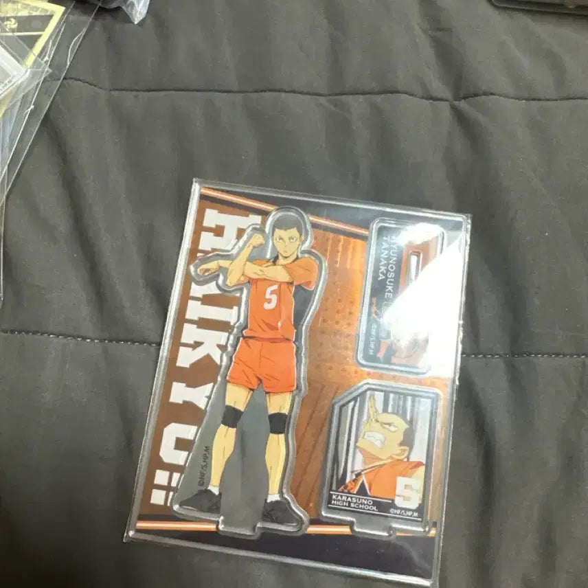 [BUNJANG] Haikyu!! Acrylic Goods / 하이큐 아크릴 굿즈