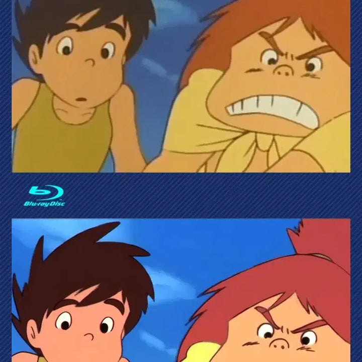 [BUNJANG] Future Boy Conan DVD + Blu-ray USB Set / 미래소년코난 DVD + 블루레이 USB