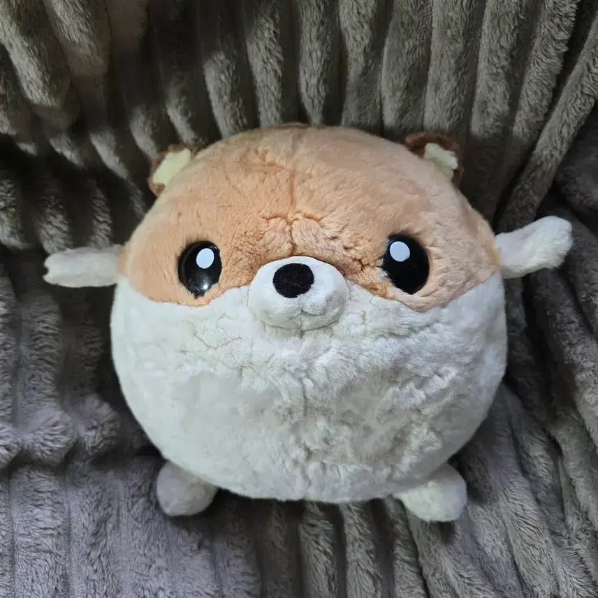 [BUNJANG] Hampfriends Popo Doll / 햄프렌즈 포포인형