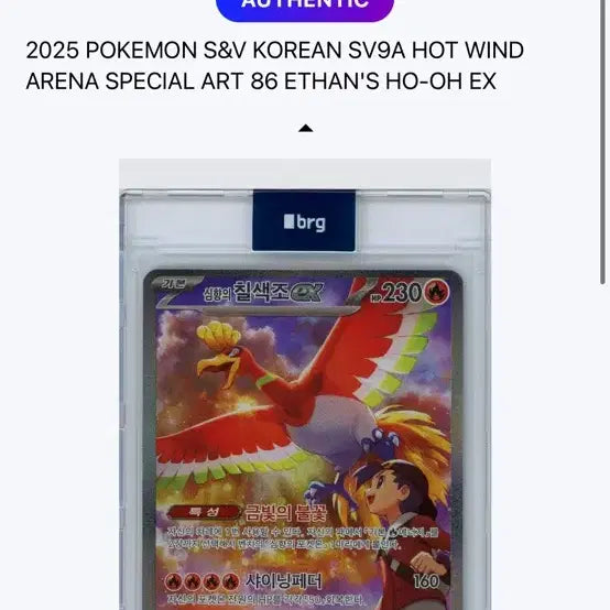[BUNJANG] Shiny Charizard SAR, Mega Lucario SAR Bundle / 심향의칠색조sar,메가루카리오sar