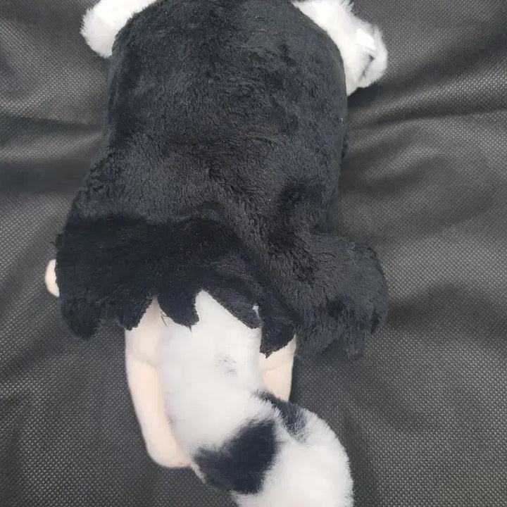 [BUNJANG] Cyphers Tei 20cm Plush Doll / 사이퍼즈 테이 20cm 솜인형