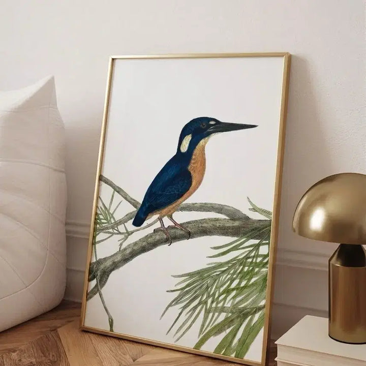 [BUNJANG] John William Lewin Kingfisher Painting (20-F, 53x73cm, Gold Frame) / 존 르윈작가의 작품 킹피셔 판매합니다.