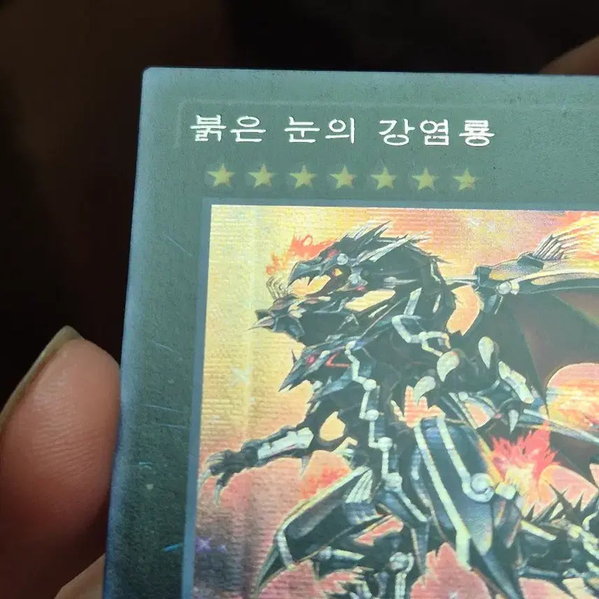 [BUNJANG] Yu-Gi-Oh! Red-Eyes Darkness Metal Dragon Premium Gold Rare / 유희왕 붉은 눈의 강염룡 퍼에시크