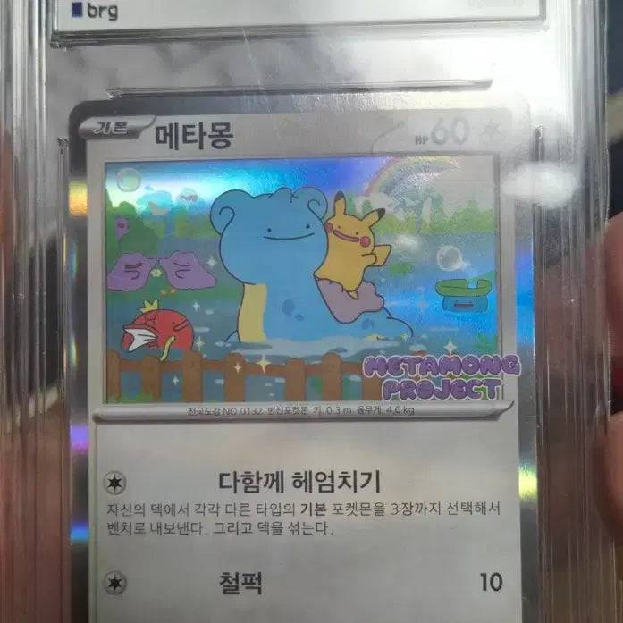 [BUNJANG] Pokemon Card Ditto Promo Grade 10 / 포켓몬 카드 메타몽 프로모 10등급