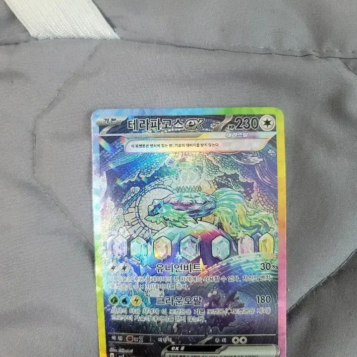 [BUNJANG] Pokemon Card Terrapagos SAR / 포켓몬카드 테라파고스sar