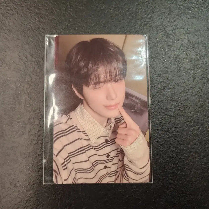 [BUNJANG] xikers Jinsik Fanmeeting MD POB Photocard / 싸이커스 진식 팬미팅 로디맵 md 5만원 특전포카