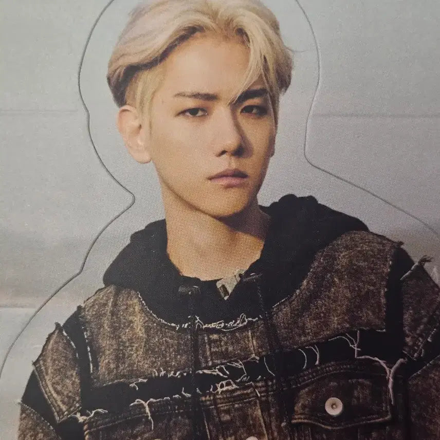 [BUNJANG] Baekhyun Goods Bundle Set / 백현 BAEKHYUN 굿즈
