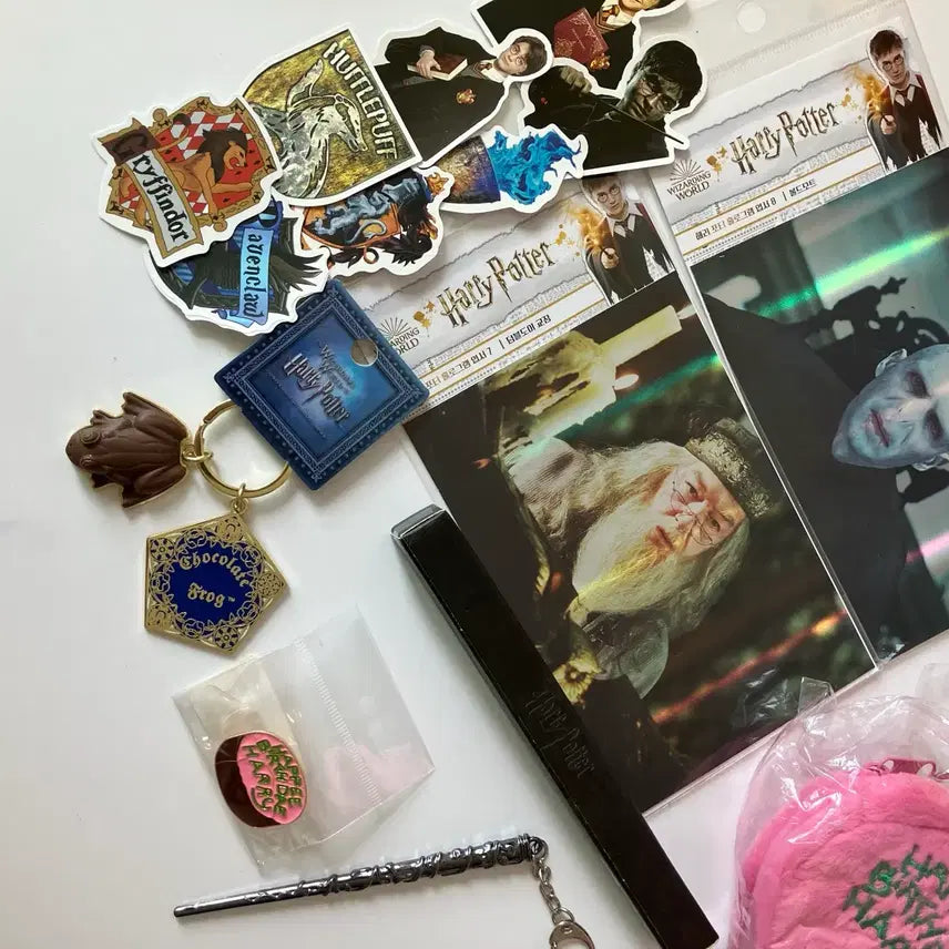 [BUNJANG] Harry Potter Collectible Bundle Set / 해리포터 세트