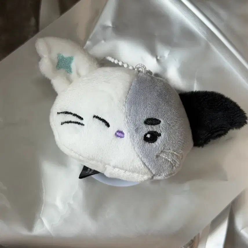 [BUNJANG] Xdinary Heroes Secret Face Keyring Jeongsu / 엑디스 시크릿 페이스키링 정수 냥듀 엑스디너리히어로즈