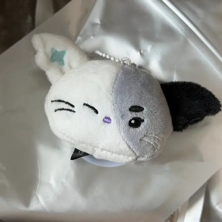 [BUNJANG] Xdinary Heroes Secret Face Keyring Jeongsu / 엑디스 시크릿 페이스키링 정수 냥듀 엑스디너리히어로즈