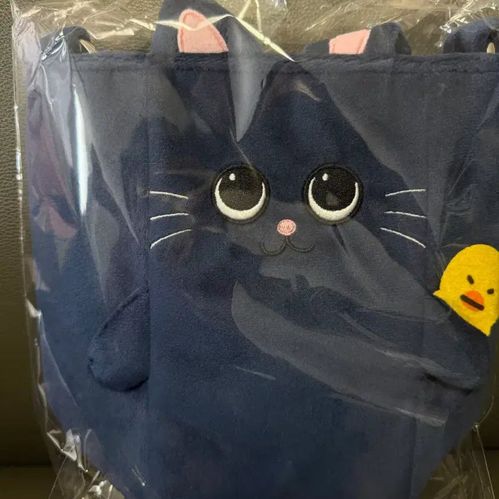 [BUNJANG] RIIZE Wonbin Lightstick Bag / (가격내림)라이즈 원빈 팬라이트백 응원봉 가방 양도