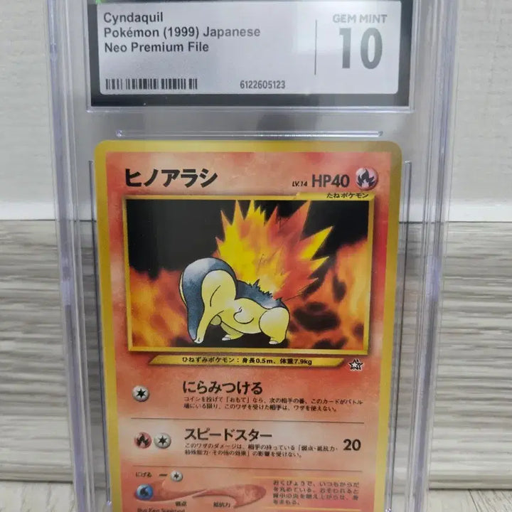 [BUNJANG] Pokemon 1999 Japanese Neo Premium File 1 Johto Starters 9-Card Complete Set / 포켓몬 1999 일본판 Neo 프리미엄 파일1 조토 스타팅9장 완성 세트