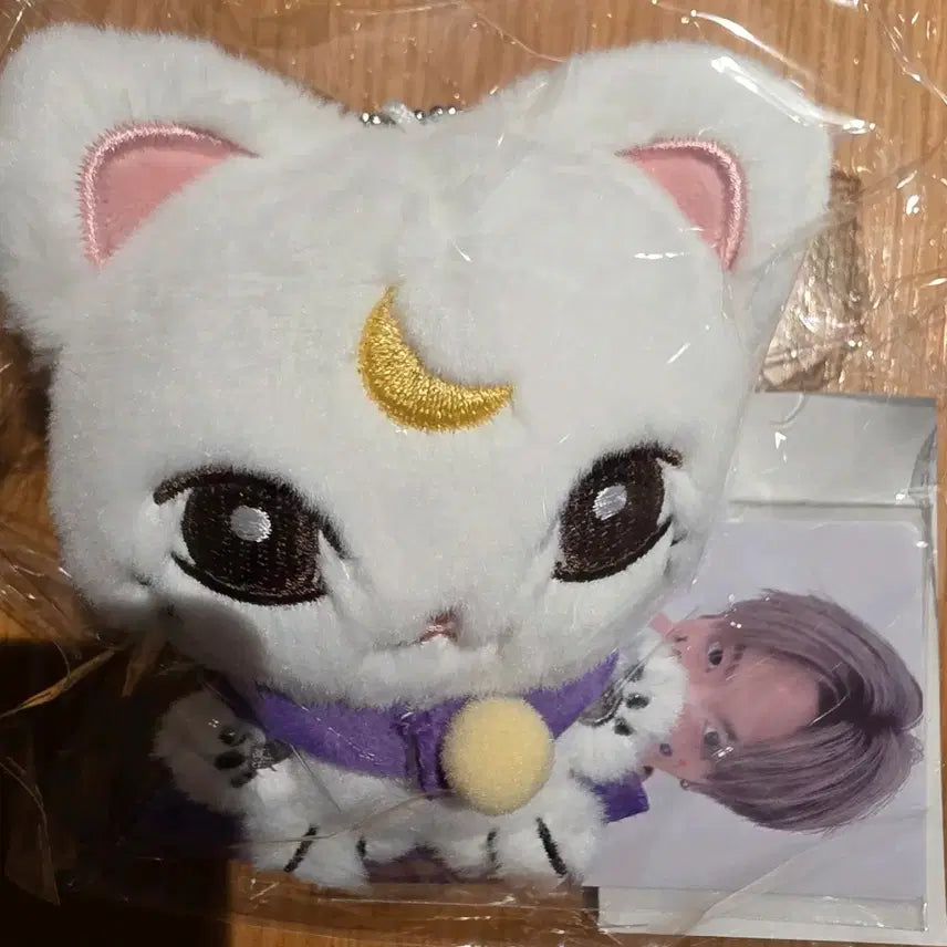 [BUNJANG] Xikers Yechan Plush / xikers plush yechan 싸이커스 인형 달마 예찬 양도