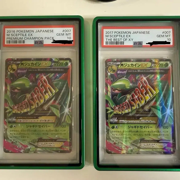 [BUNJANG] Pokémon Card Trevenant PSA 10 Bundle Set (Case Included) / 포켓몬카드 나무킹 psa10 (케이스 포함)