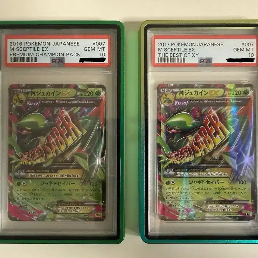 [BUNJANG] Pokémon Card Trevenant PSA 10 Bundle Set (Case Included) / 포켓몬카드 나무킹 psa10 일괄(케이스 포함)