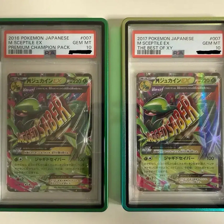 [BUNJANG] Pokémon Card Trevenant PSA 10 Bundle Set (Case Included) / 포켓몬카드 나무킹 psa10 일괄(케이스 포함)