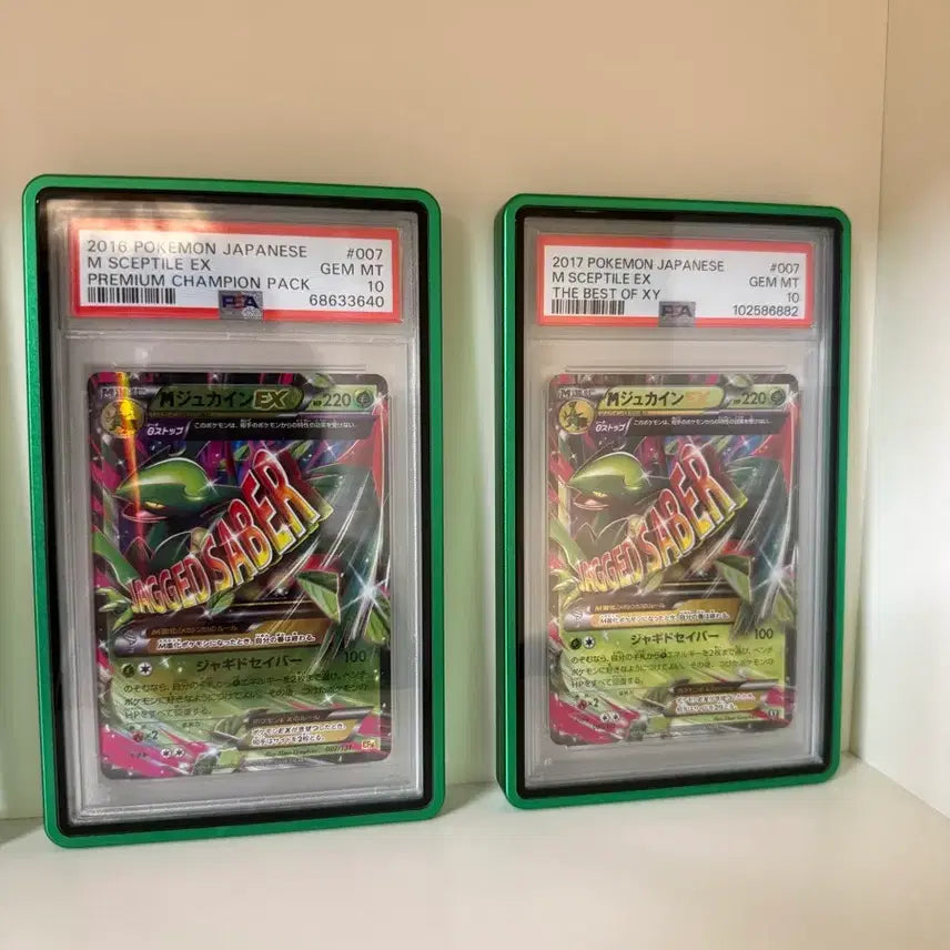 [BUNJANG] Pokémon Card Trevenant PSA 10 Bundle Set (Case Included) / 포켓몬카드 M나무킹EX PSA10 일괄(케이스 포함)