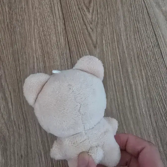 [SOLD OUT] 론탱이 로운 모에화 인형