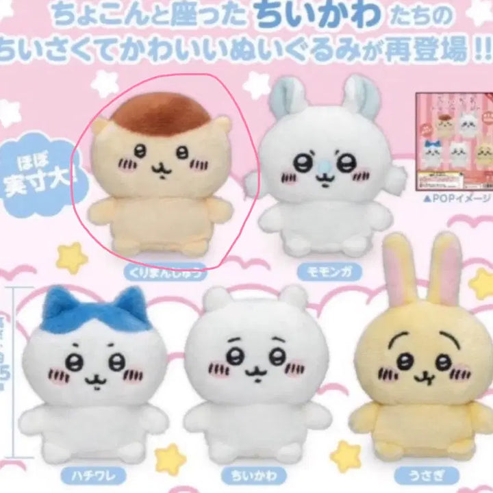 [BUNJANG] Chiikawa Kurimanju Plush / 쿠리만쥬 누이가챠/치이카와/쿠리만쥬