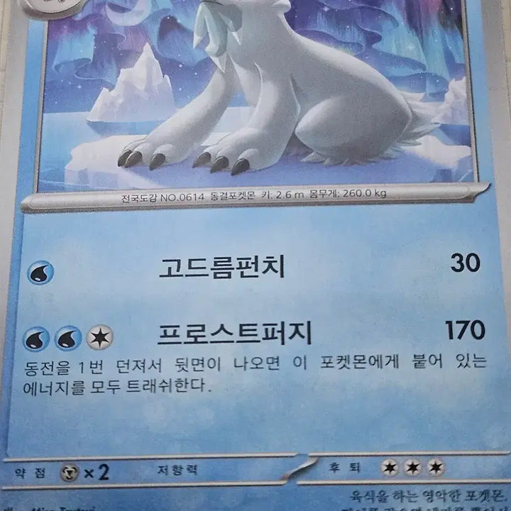 [BUNJANG] Pokemon Card Toon Bear / 포켓몬카드 툰베어