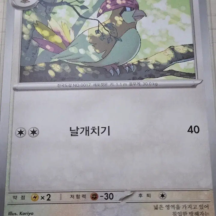 [BUNJANG] Pokemon Card Pigeon 088/108 C / 포켓몬카드 피죤 088/108 C