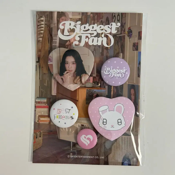 [BUNJANG] Red Velvet Irene Biggest Fan Pin Badge Set / 아이린 Biggest Fan 핀뱃지 세트
