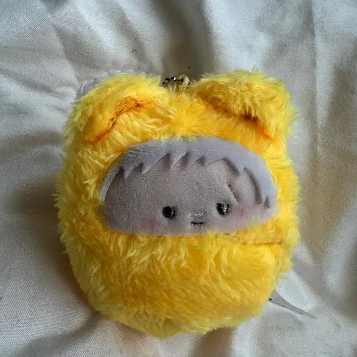 [BUNJANG] Katekyo Hitman Reborn! Ryohei Kurumatani "Kurumitapi" Plush Doll / 가히리 - 료헤이 쿠루미타피 누이