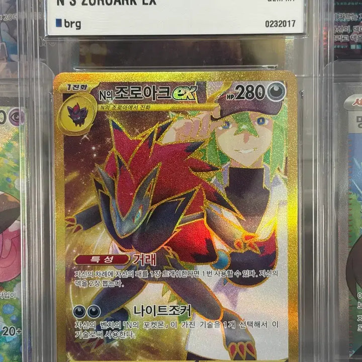 [BUNJANG] Pokemon TCG N&