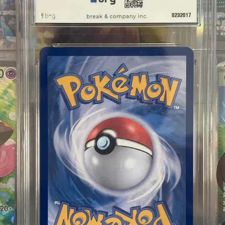 [BUNJANG] Pokemon TCG N&
