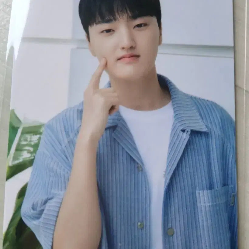 [BUNJANG] Daewoong Pharmaceutical T1 Phase Impact Immune Photocard / 대웅제약 임펙타뮨 T1 페이즈 포토카드