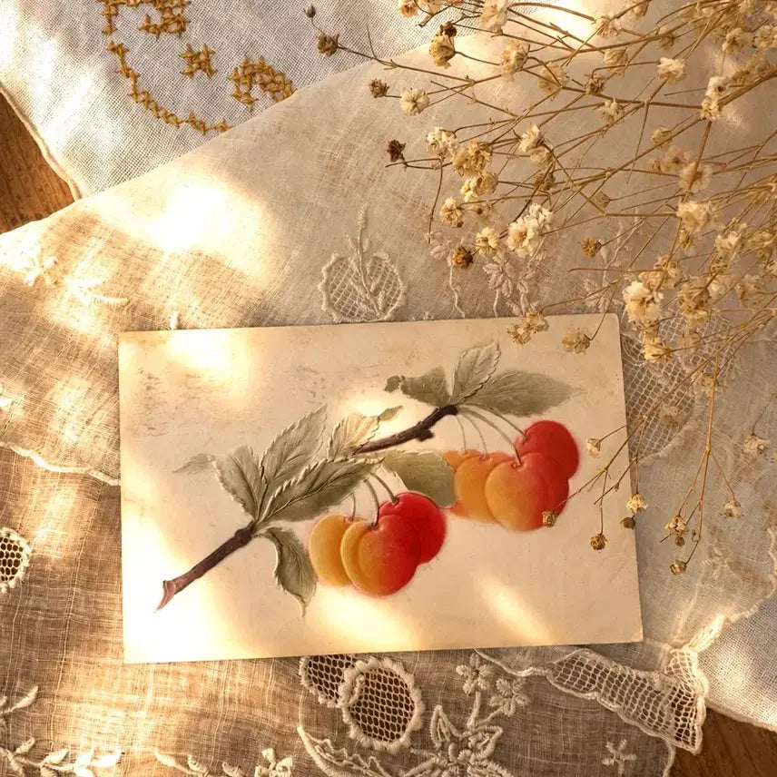 [BUNJANG] Antique Embossed Cherry Postcard / 앤틱 빈티지엽서 그라데이션 체리