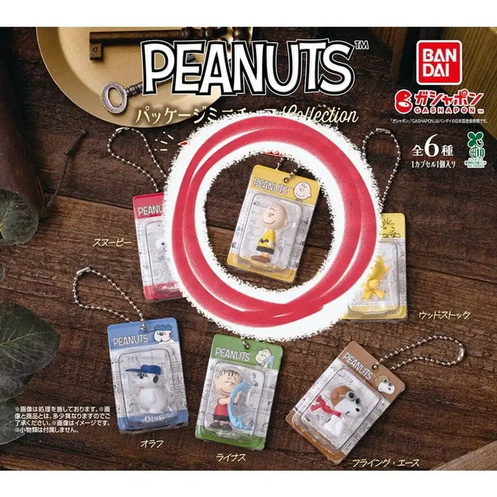 [BUNJANG] Snoopy Package Miniature Collection Classic Version Charlie Brown Figure / 스누피 패키지 미니어처 컬렉션 클래식 버전 (찰리브라운)