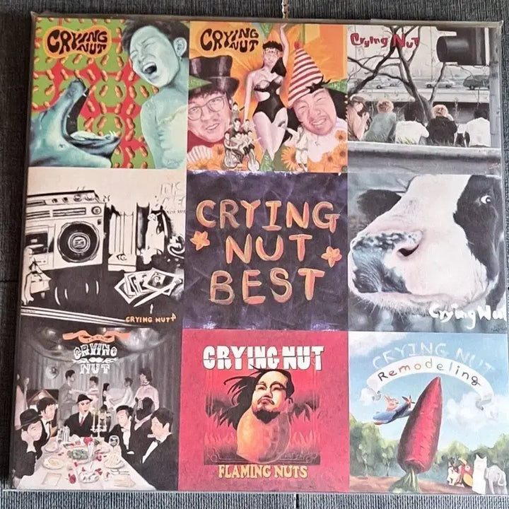 [BUNJANG] Cry Eng Neuss 25th Anniversary Best 2LP (Sealed) / 크라잉넛 베스트 개봉 2lp