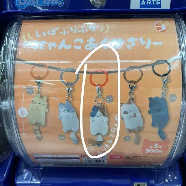 [BUNJANG] Sealed Cat Noses Gacha / [미개봉] 고양이 메지루시 가챠 팔아요