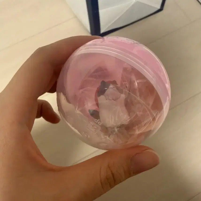 [BUNJANG] Sealed Cat Noses Gacha / [미개봉] 고양이 메지루시 가챠 팔아요