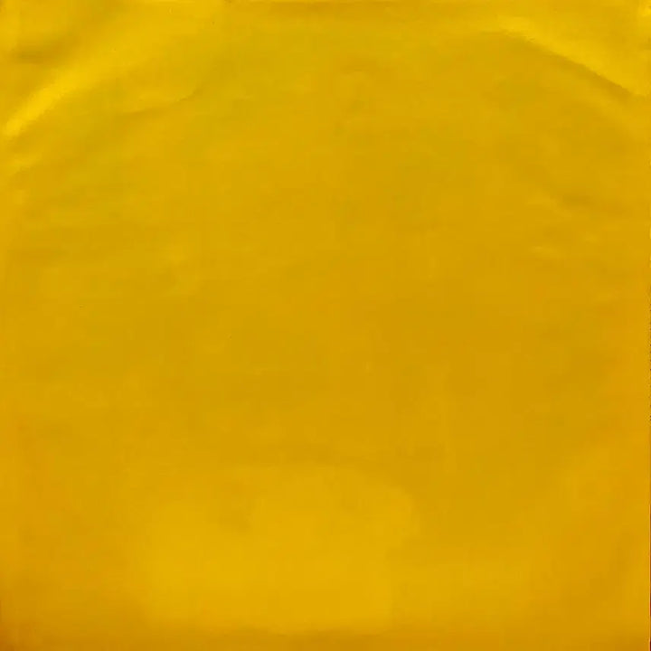 [BUNJANG] Artpop Akiko Yano Tadaiima First Press LP Ryuichi Sakamoto / 아트팝 야노 아키코-타다이마 초반 LP 류이치 사카모토